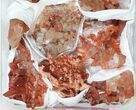 Lot: Natural, Red Quartz Crystal Clusters - Pieces #101525-2